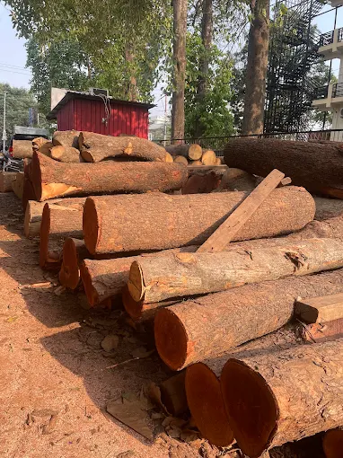 Premium Timber image 7